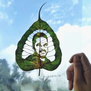 Single Face Leaf Portrait 2