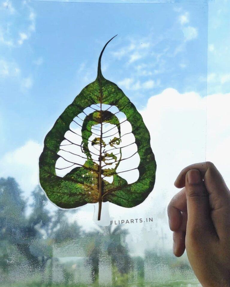 Leaf portrait